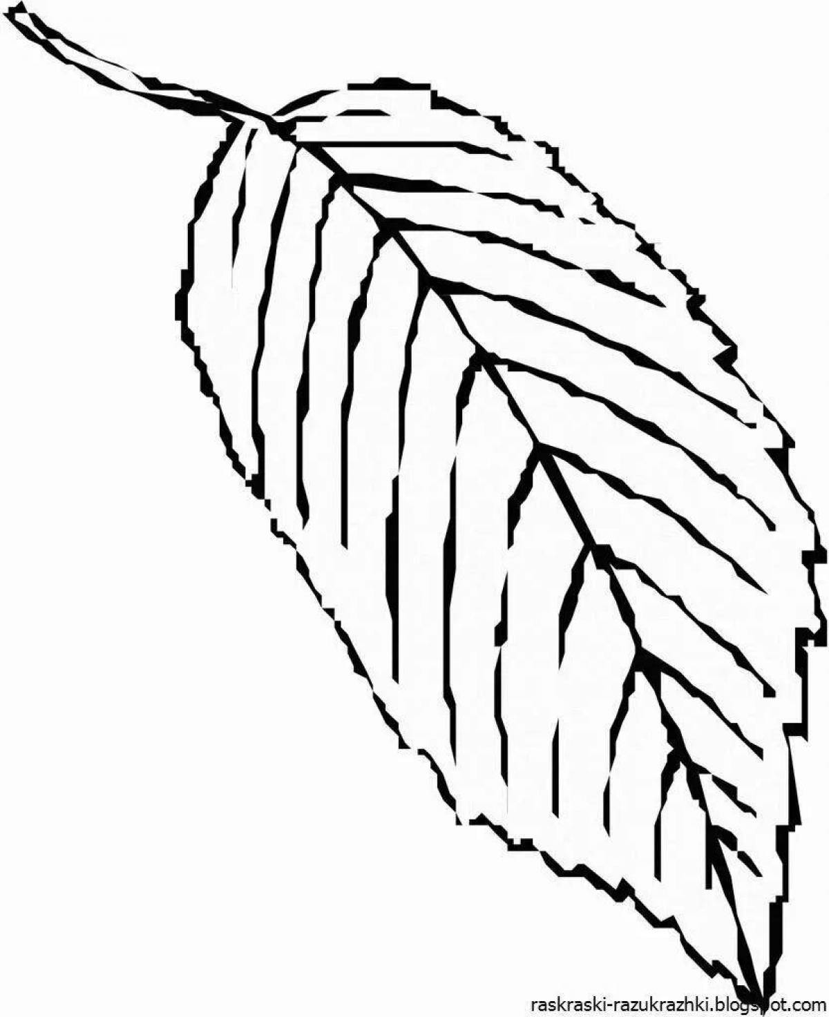 Fabulous birch leaf coloring page