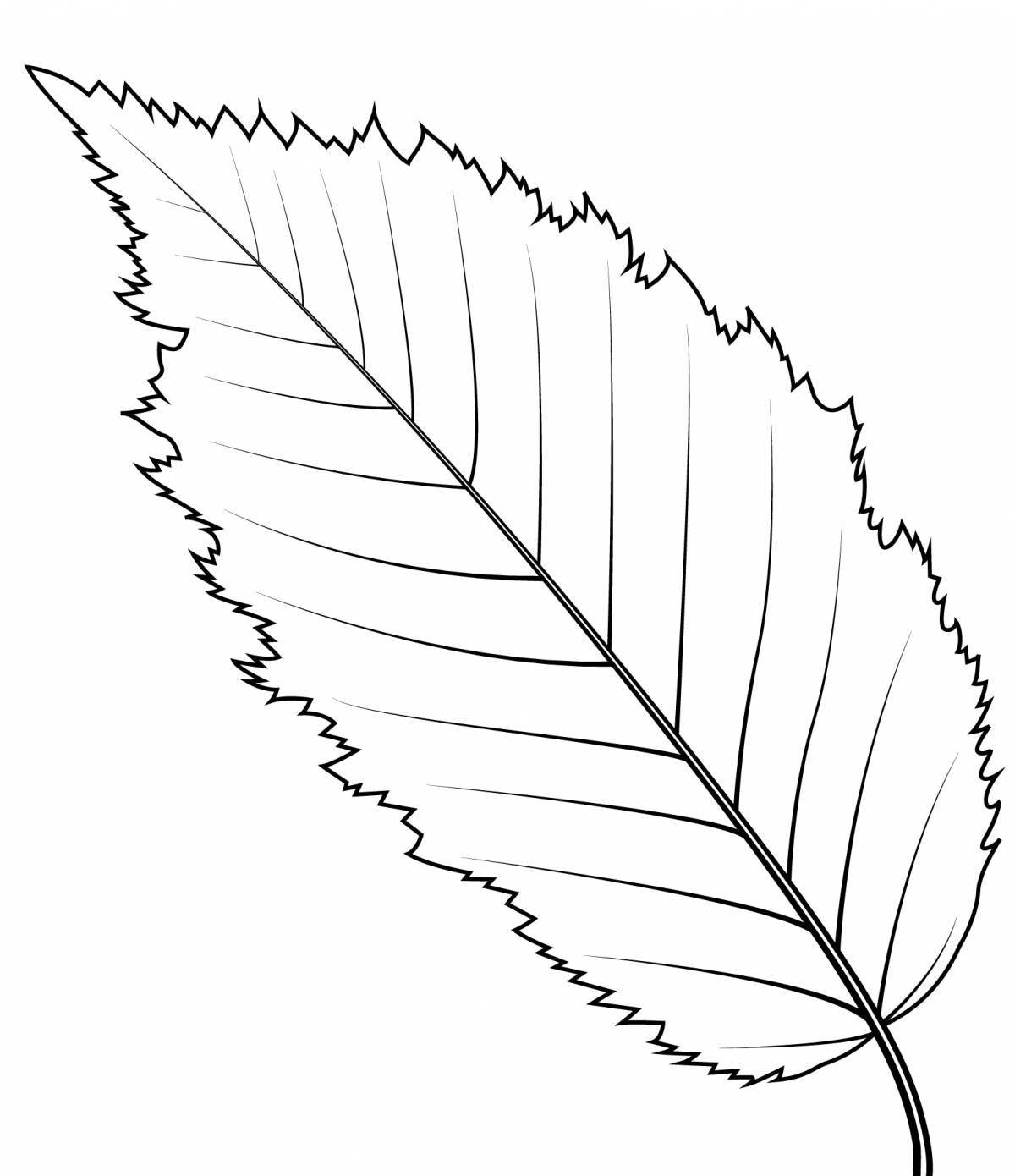 Coloring birch leaves by luck