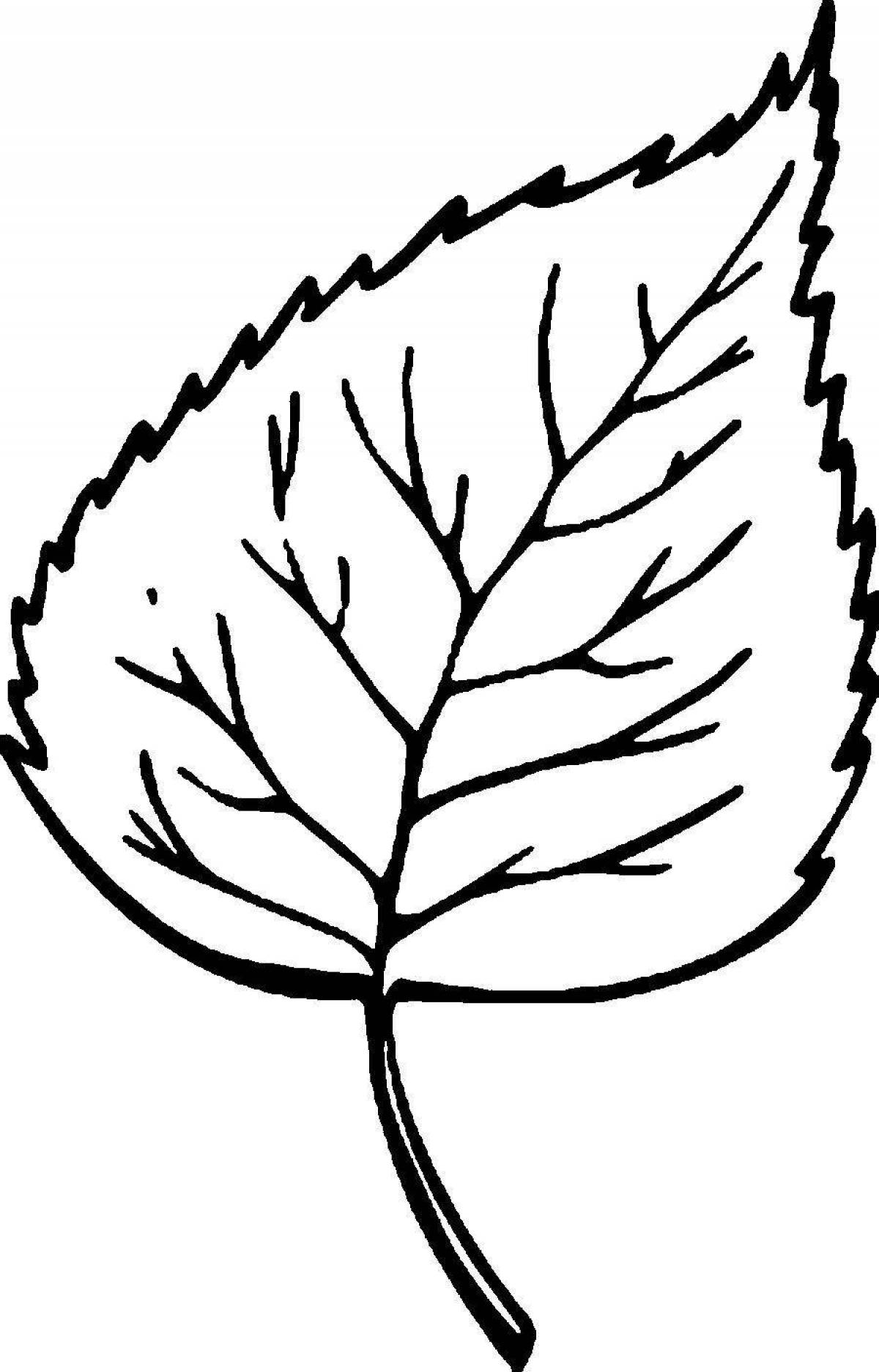 Exciting birch leaf coloring page