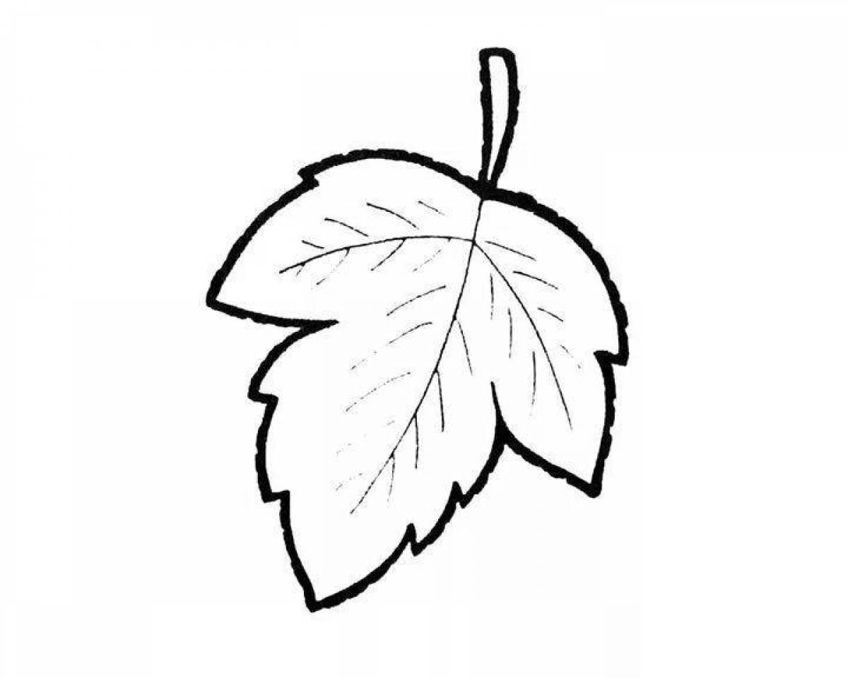 Generous birch leaf coloring page