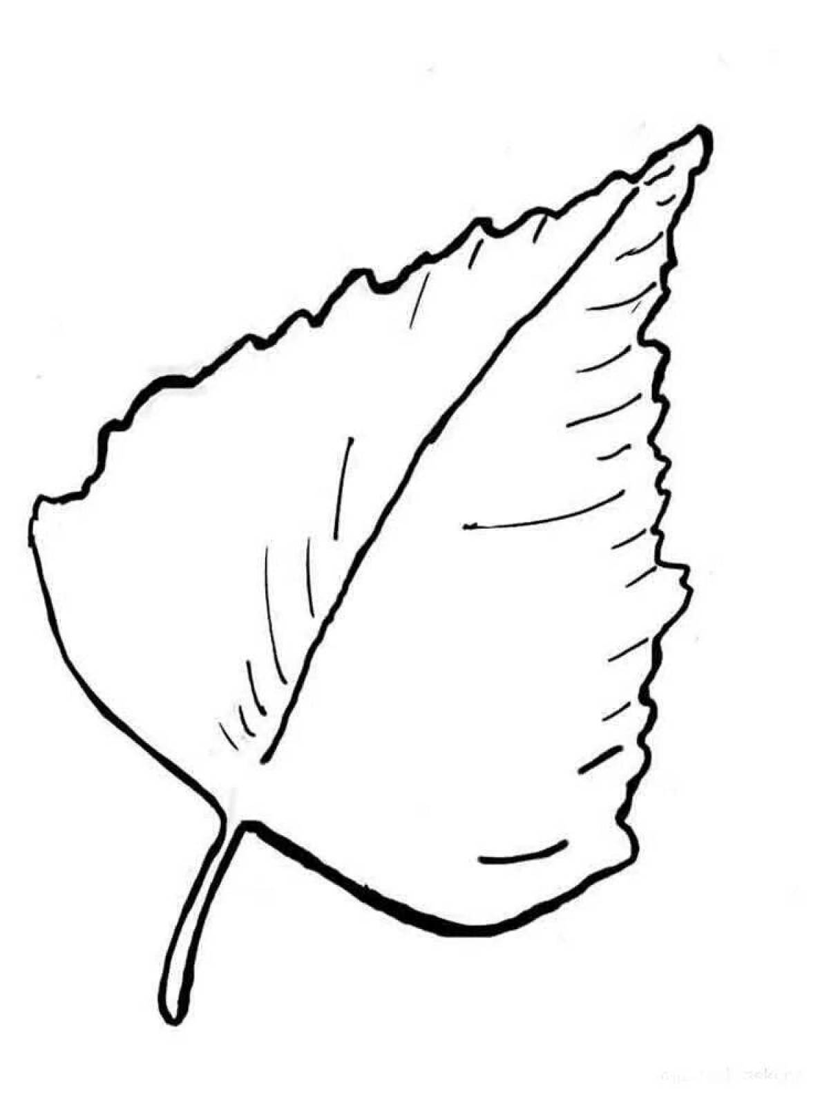 Birch leaf #3