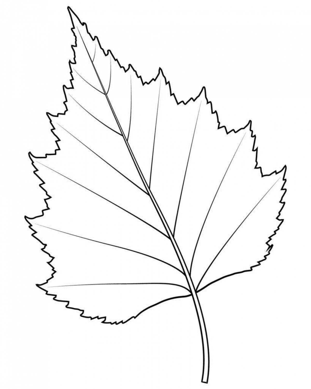 Birch leaf #5