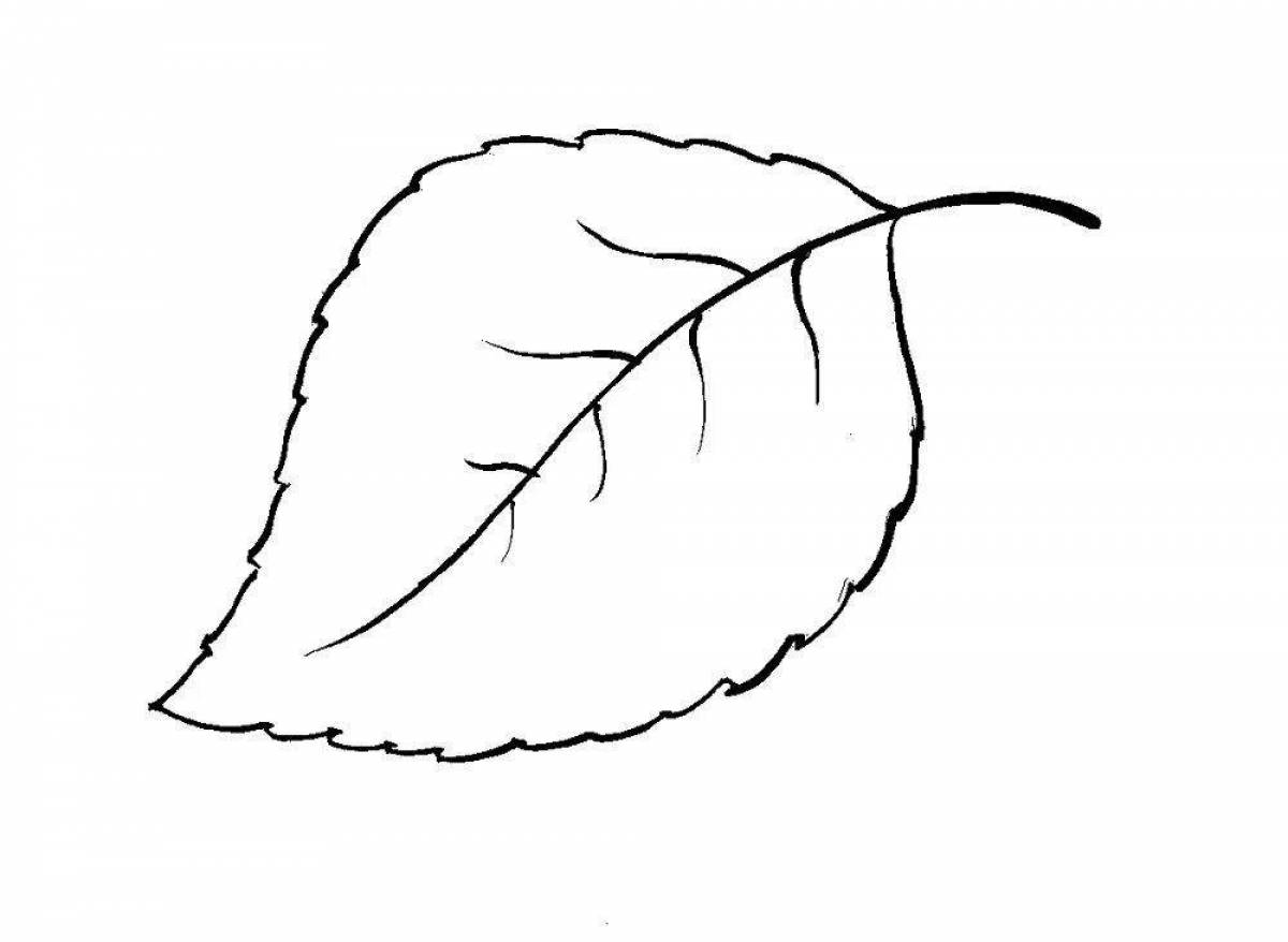 картинки раскраски листья деревьев для детей