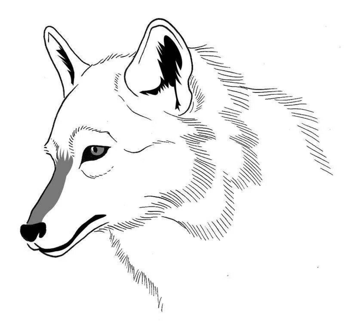 Fine wolves coloring pages
