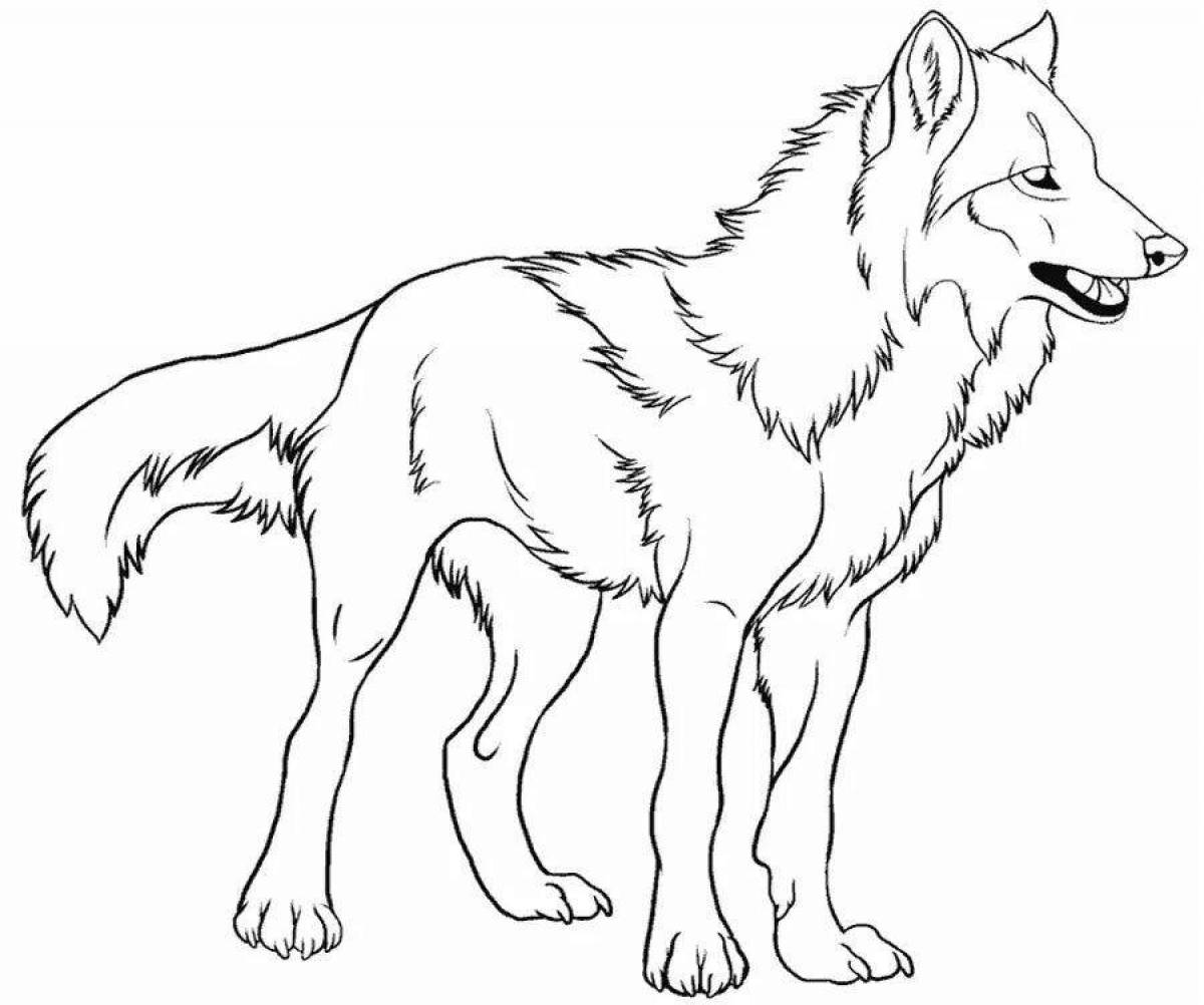 Big coloring wolves