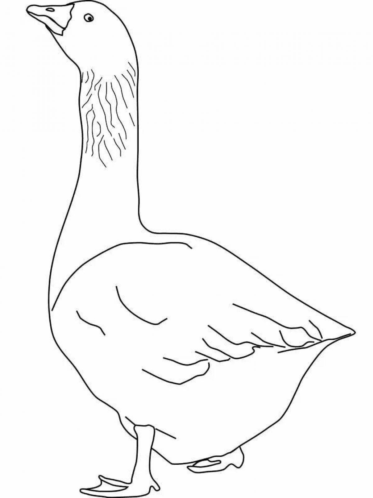 Coloring goose for kids