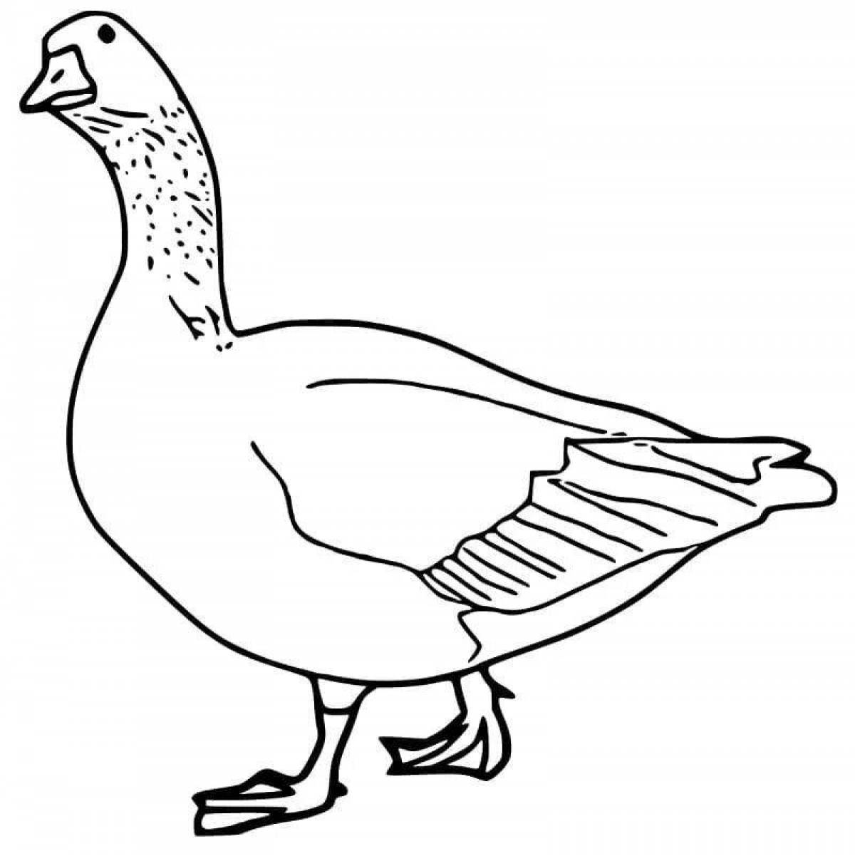 Fun goose coloring for kids