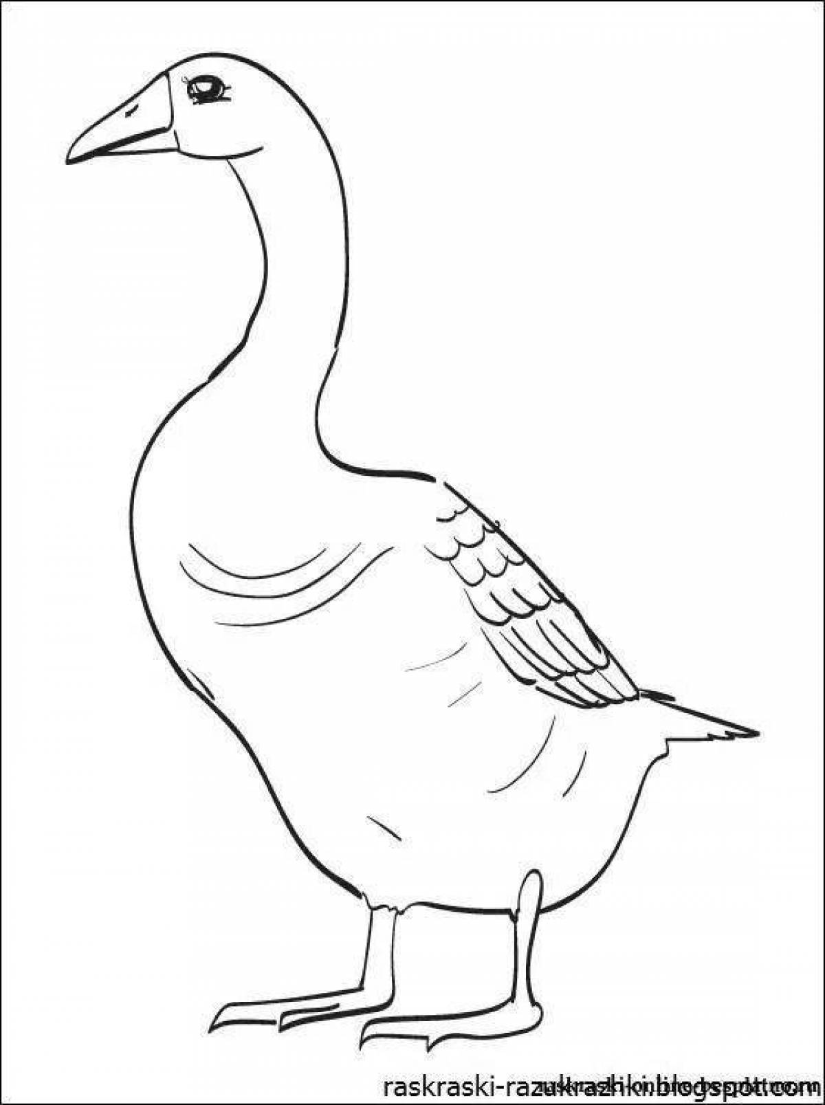 Adorable goose coloring book for kids