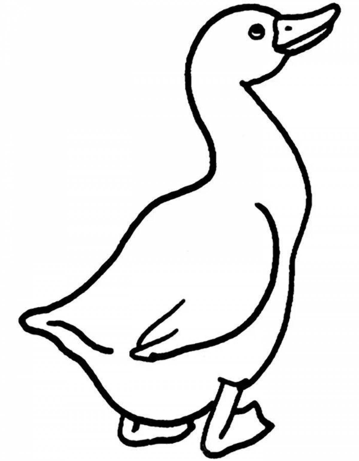 Funny goose coloring book for kids