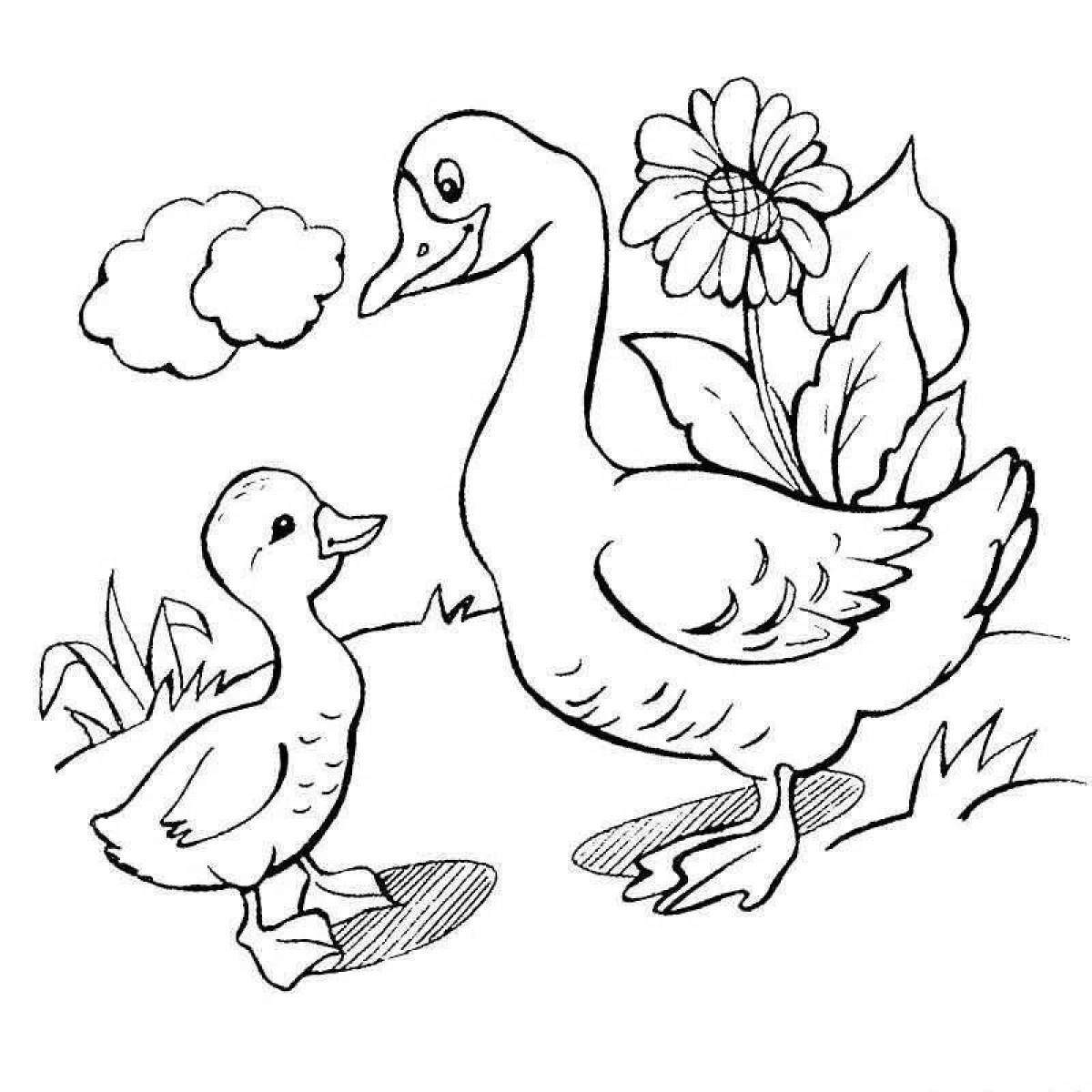 Fun goose coloring book for kids