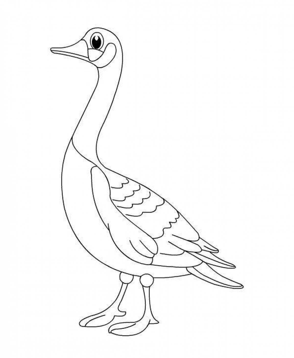 Fancy goose coloring book for kids