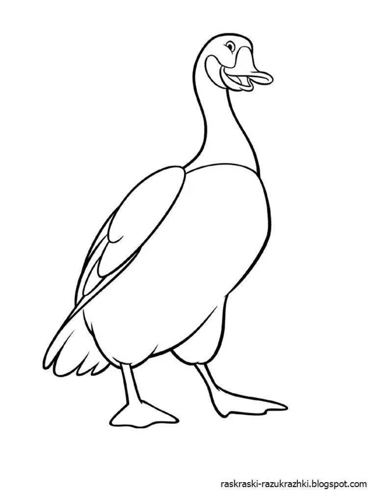 Goose for kids picture #12