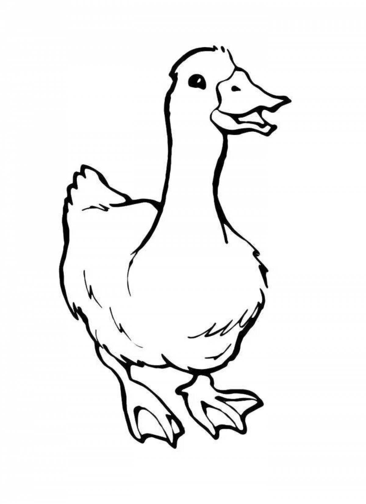 Goose for kids picture #14