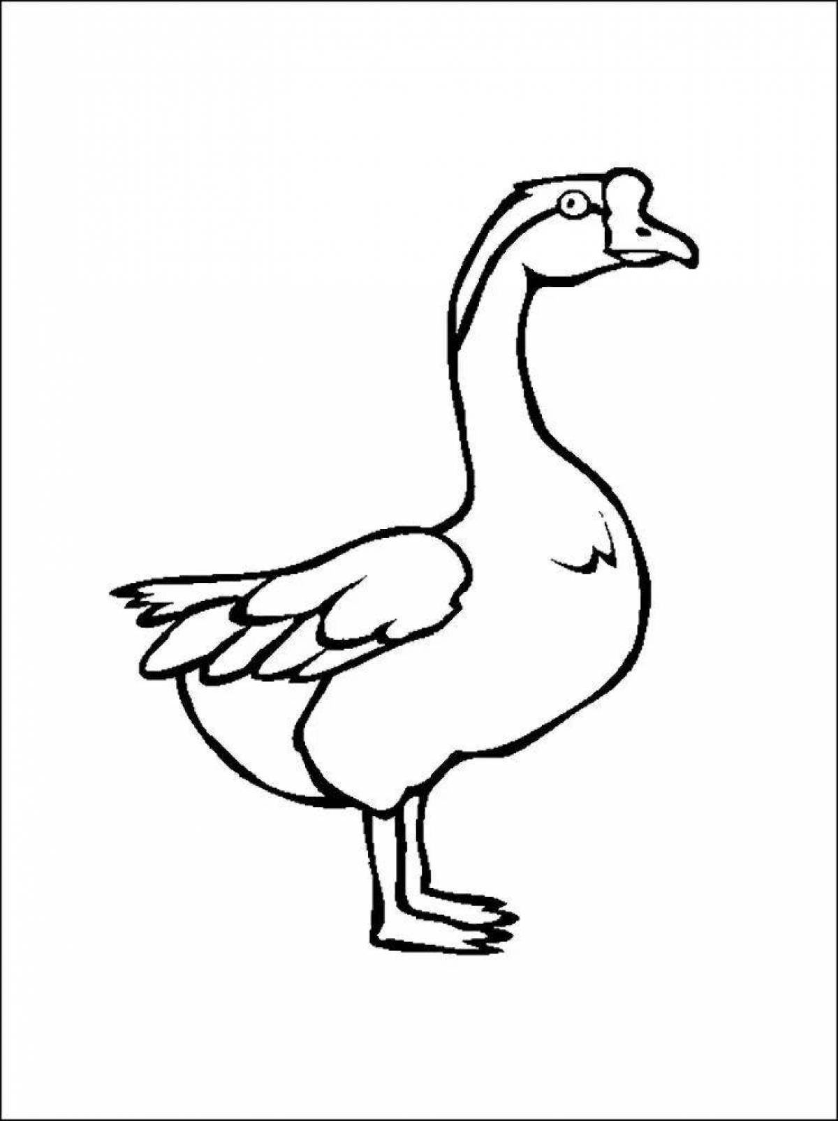 Goose for kids picture #18