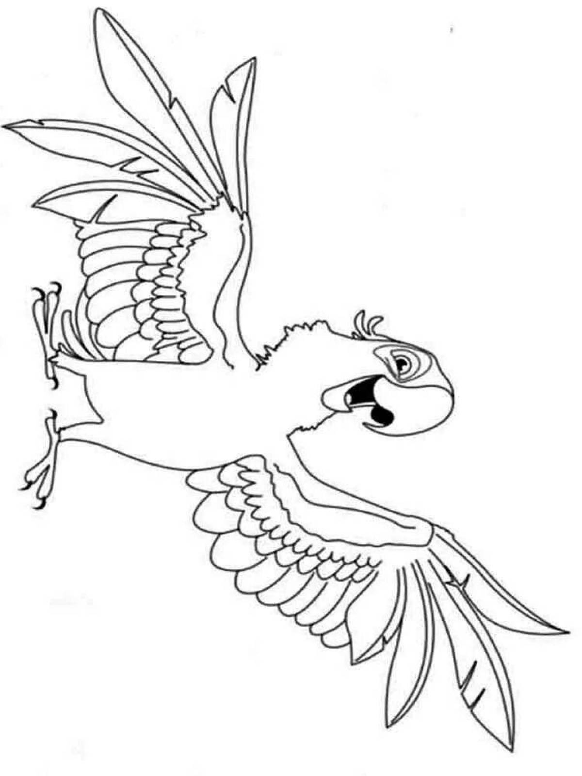 Раскраска попугай Рио