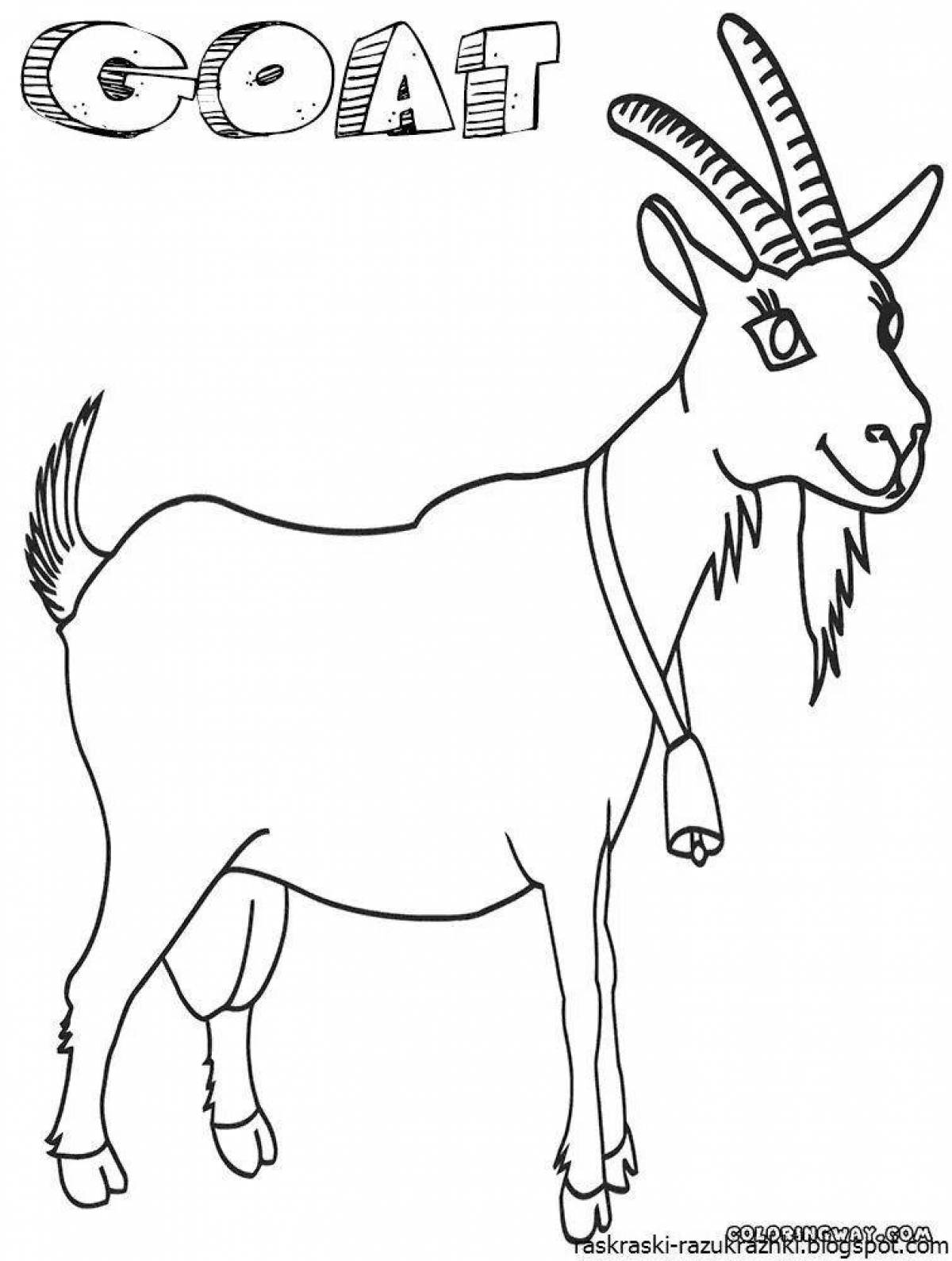 Goat #3