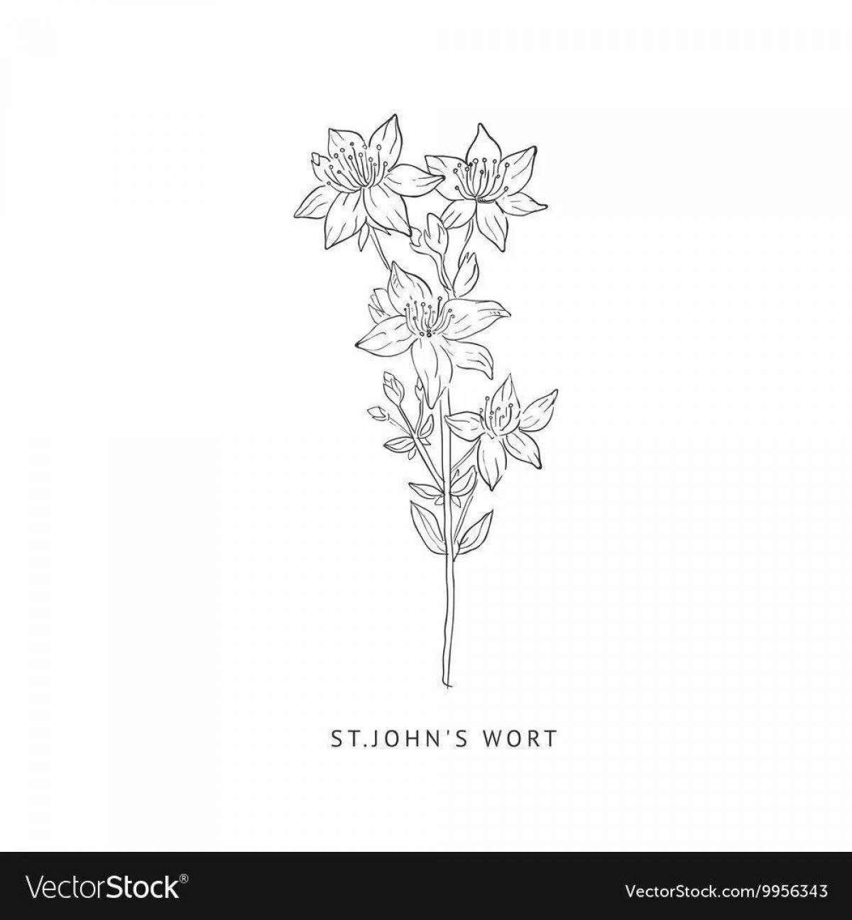 Glitter St. John's wort coloring page