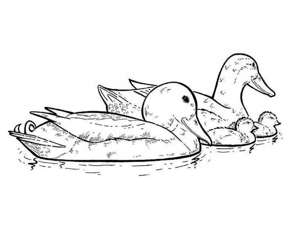 Coloring page lanfan adorable duck