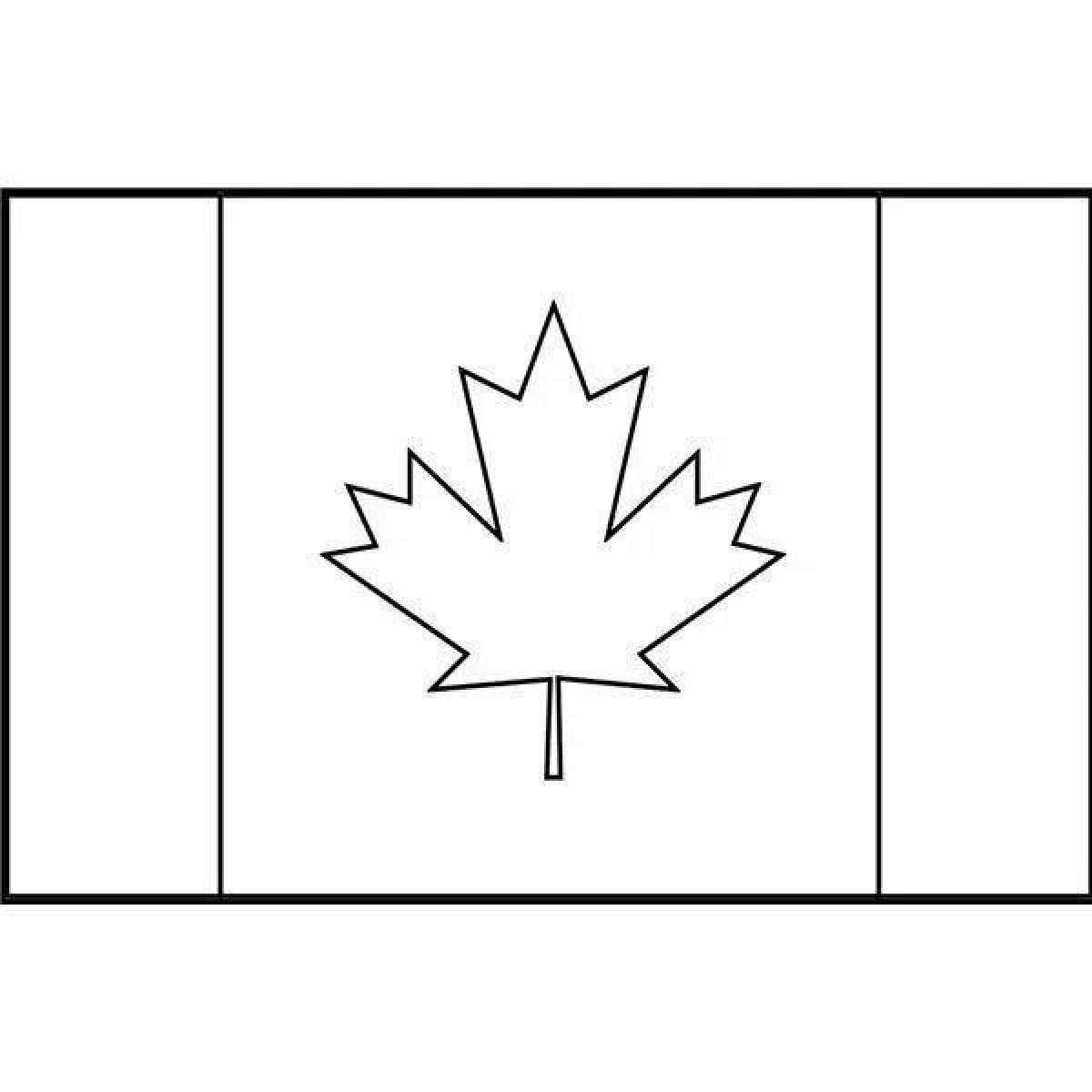Dazzling Canadian flag coloring page