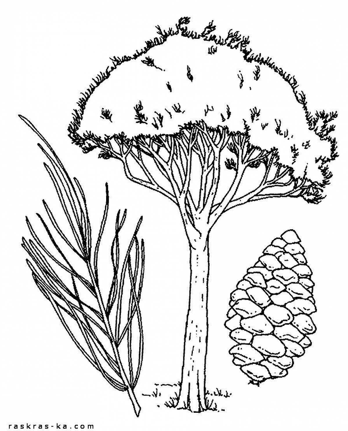 Рисунки растения деревья