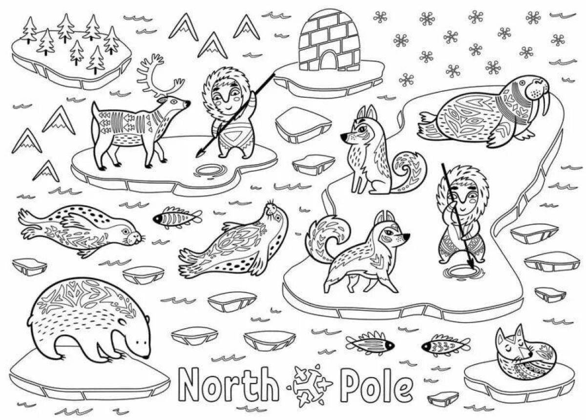 Великолепная раскраска северный полюс