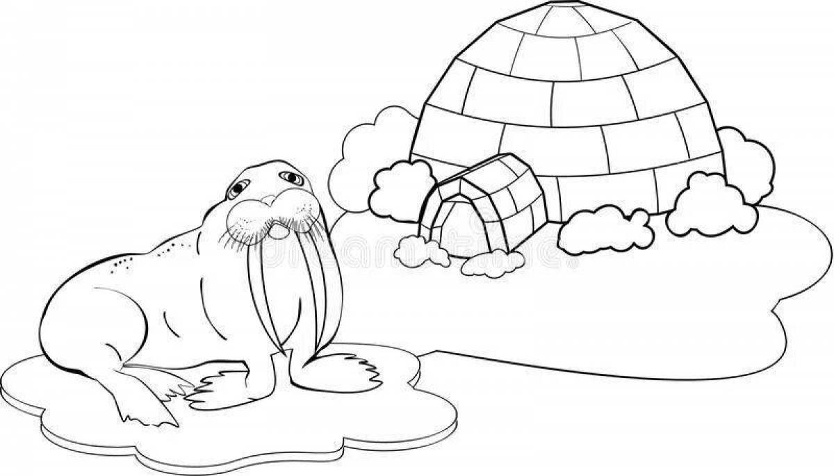 Majestic north pole coloring page