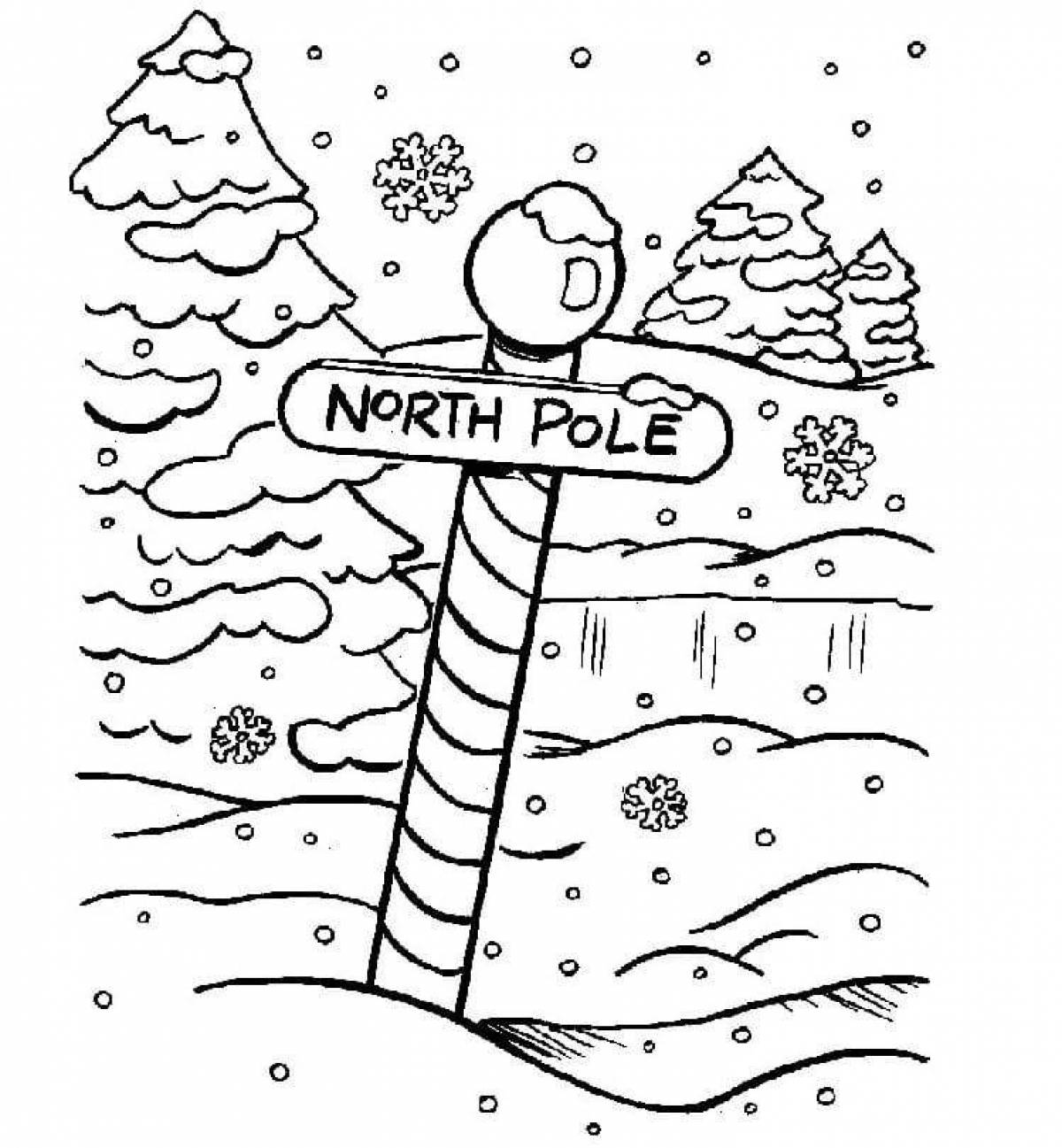 Потрясающая раскраска северный полюс