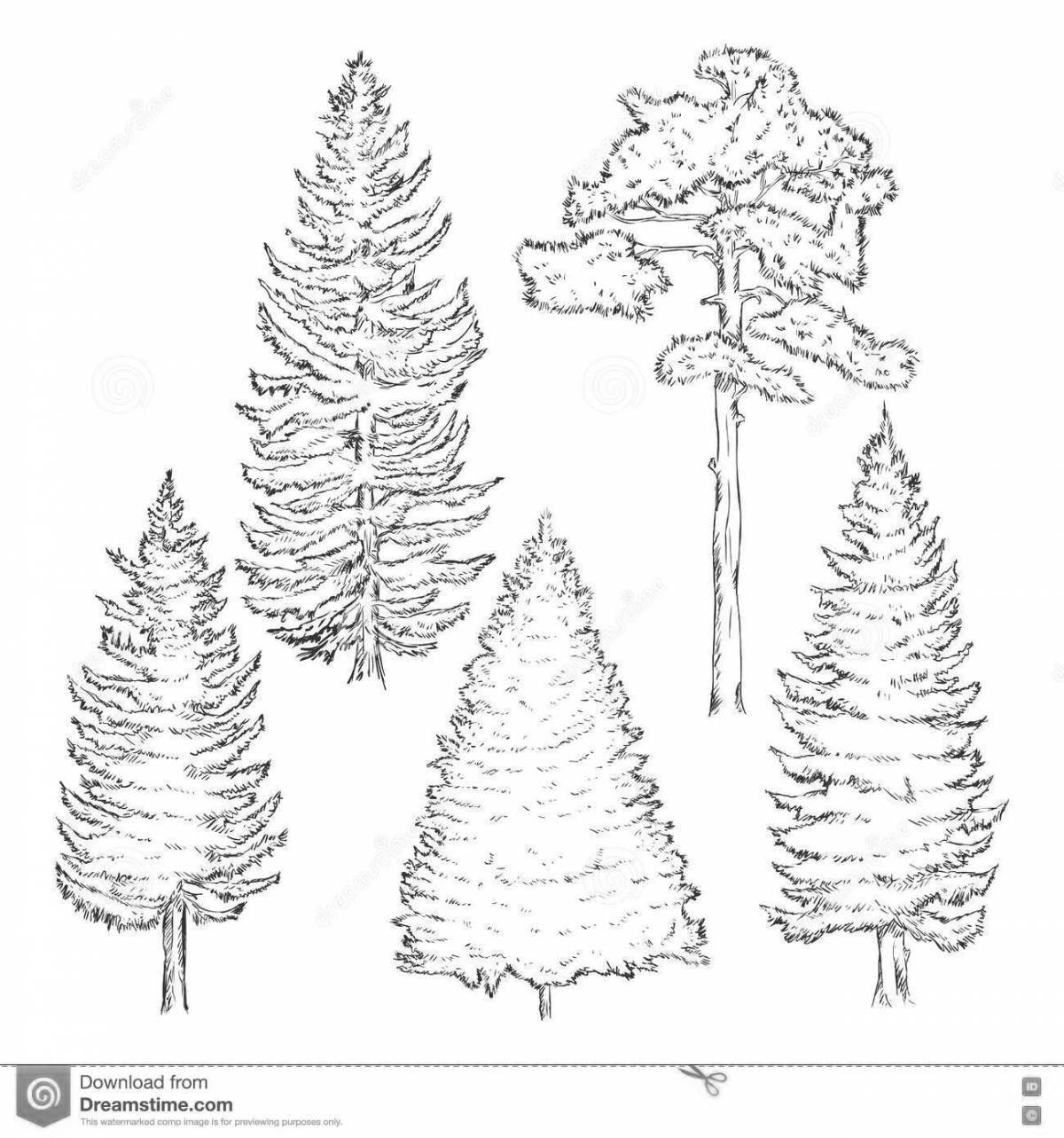 Glowing coniferous trees coloring page