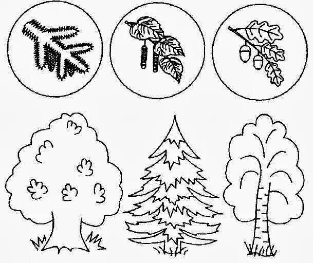 Хвойные деревья картинки, срисовки и детские рисунки.