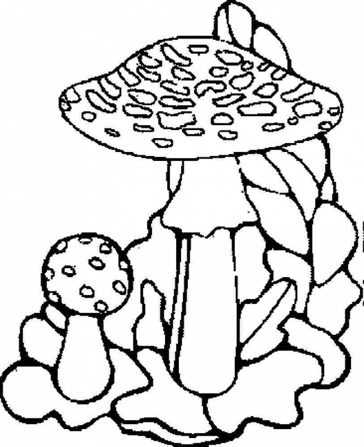 Coloring book shiny fly agaric