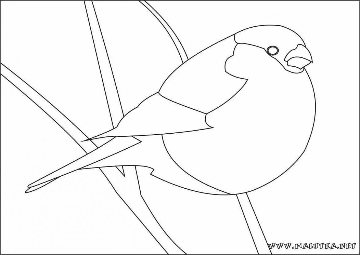 Coloring book colorful drawing of a bullfinch
