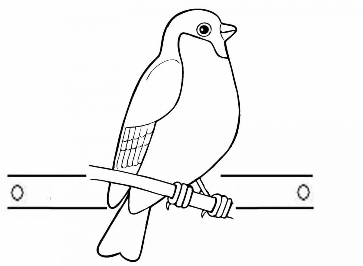 Gorgeous bullfinch pattern coloring page
