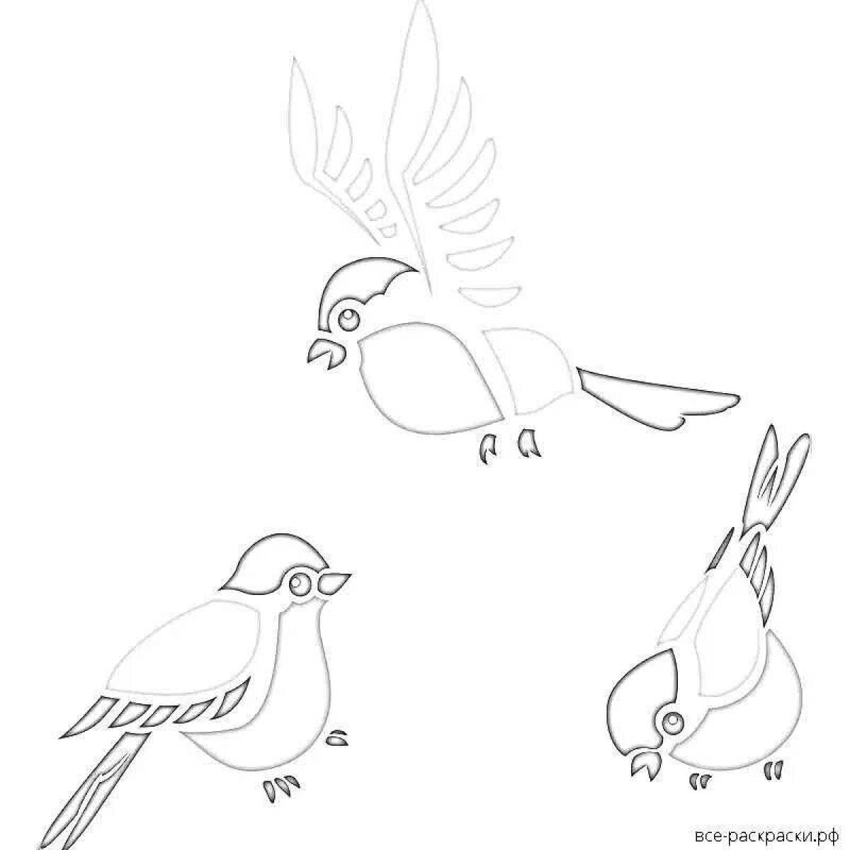 Coloring book with amazing bullfinch drawing