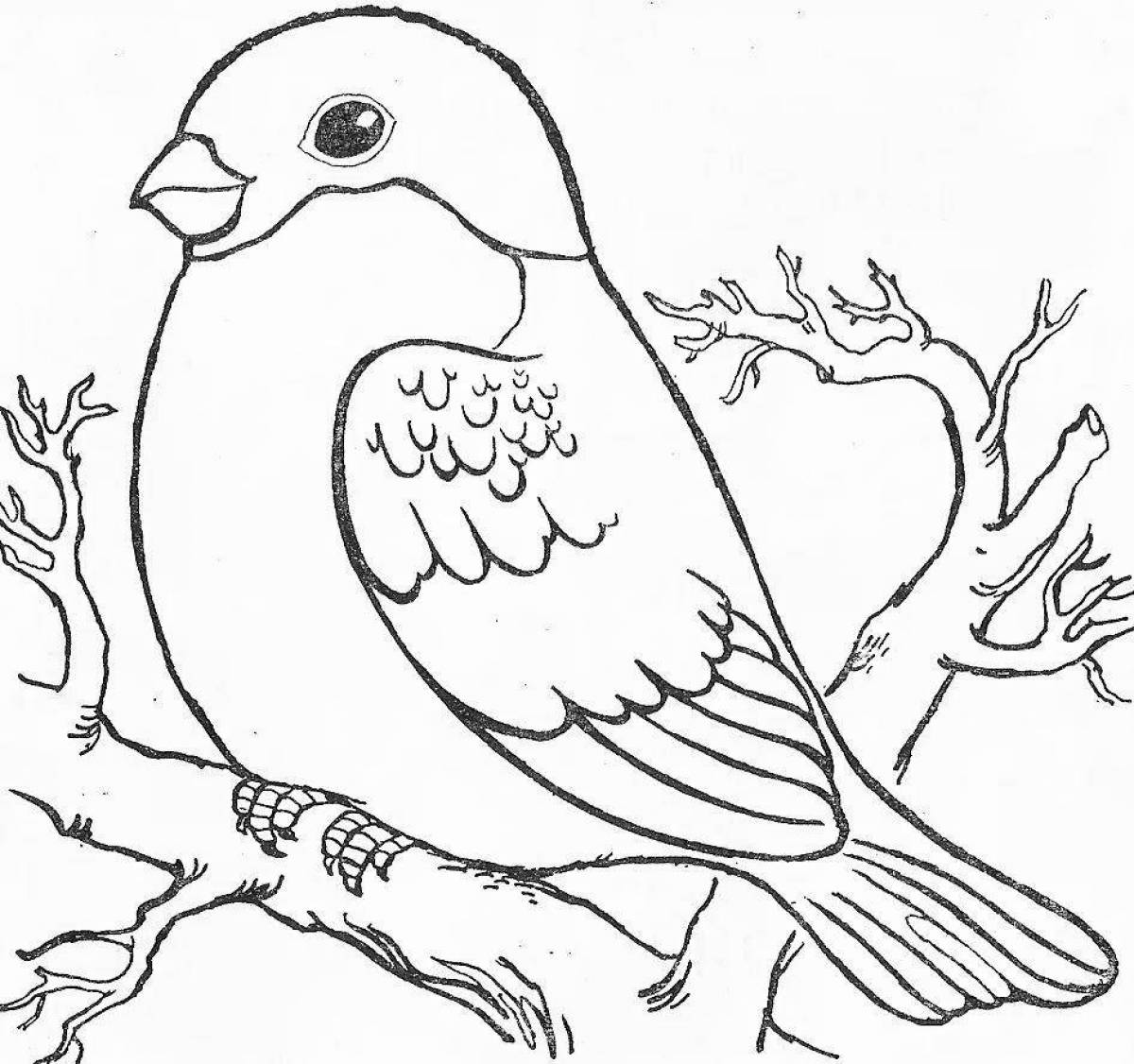 Coloring book fascinating drawing of a bullfinch