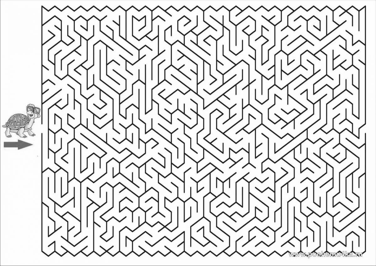 Coloring complex labyrinth - fascinating
