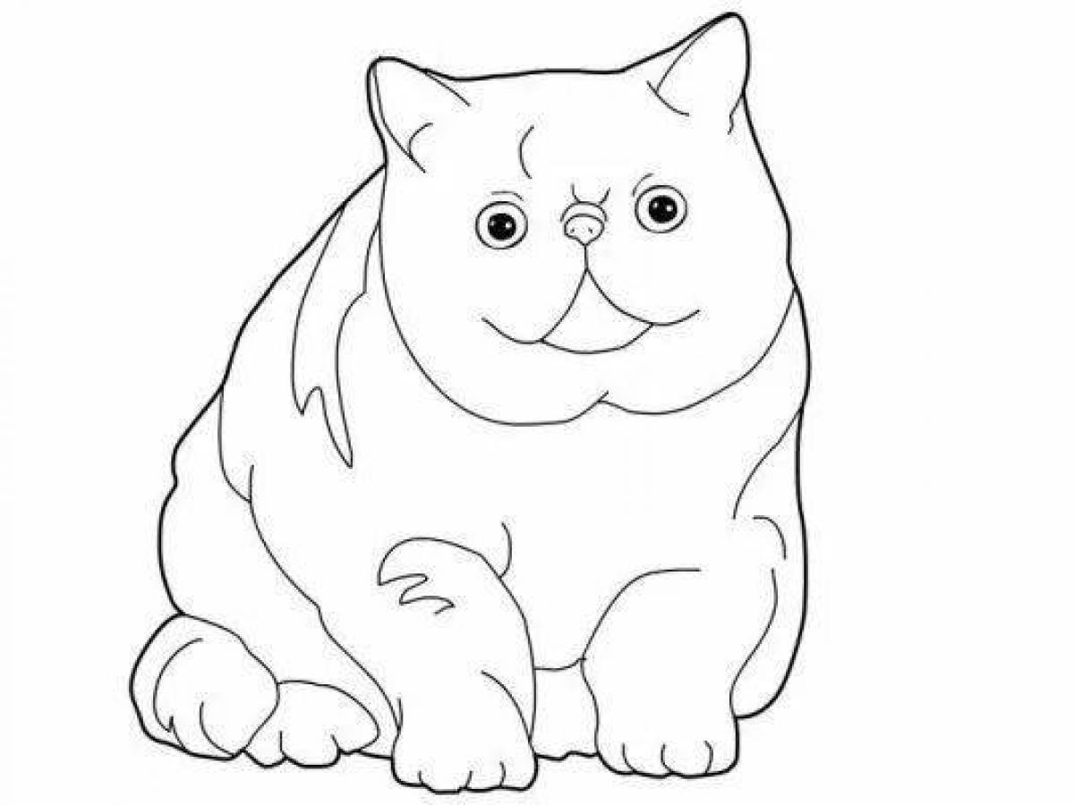 Раскраска расслабленный толстый кот