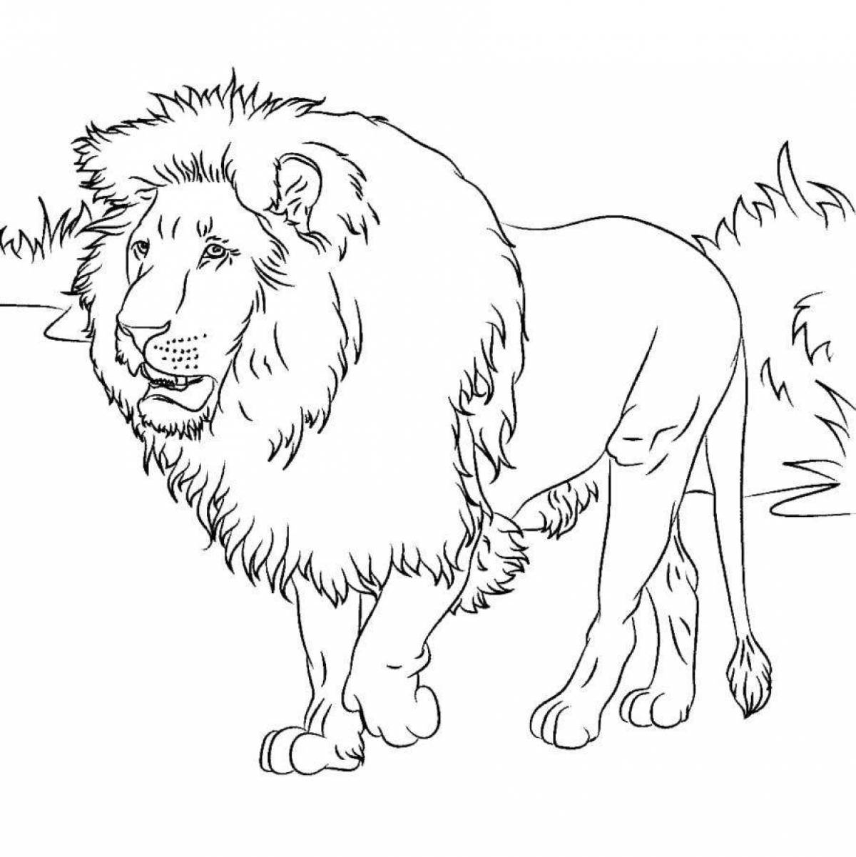 Major lion coloring page