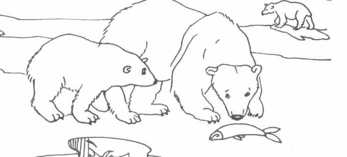 Animated coloring pages animals of the north