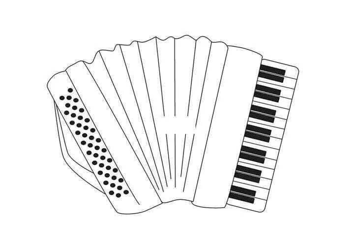 Live accordion coloring book