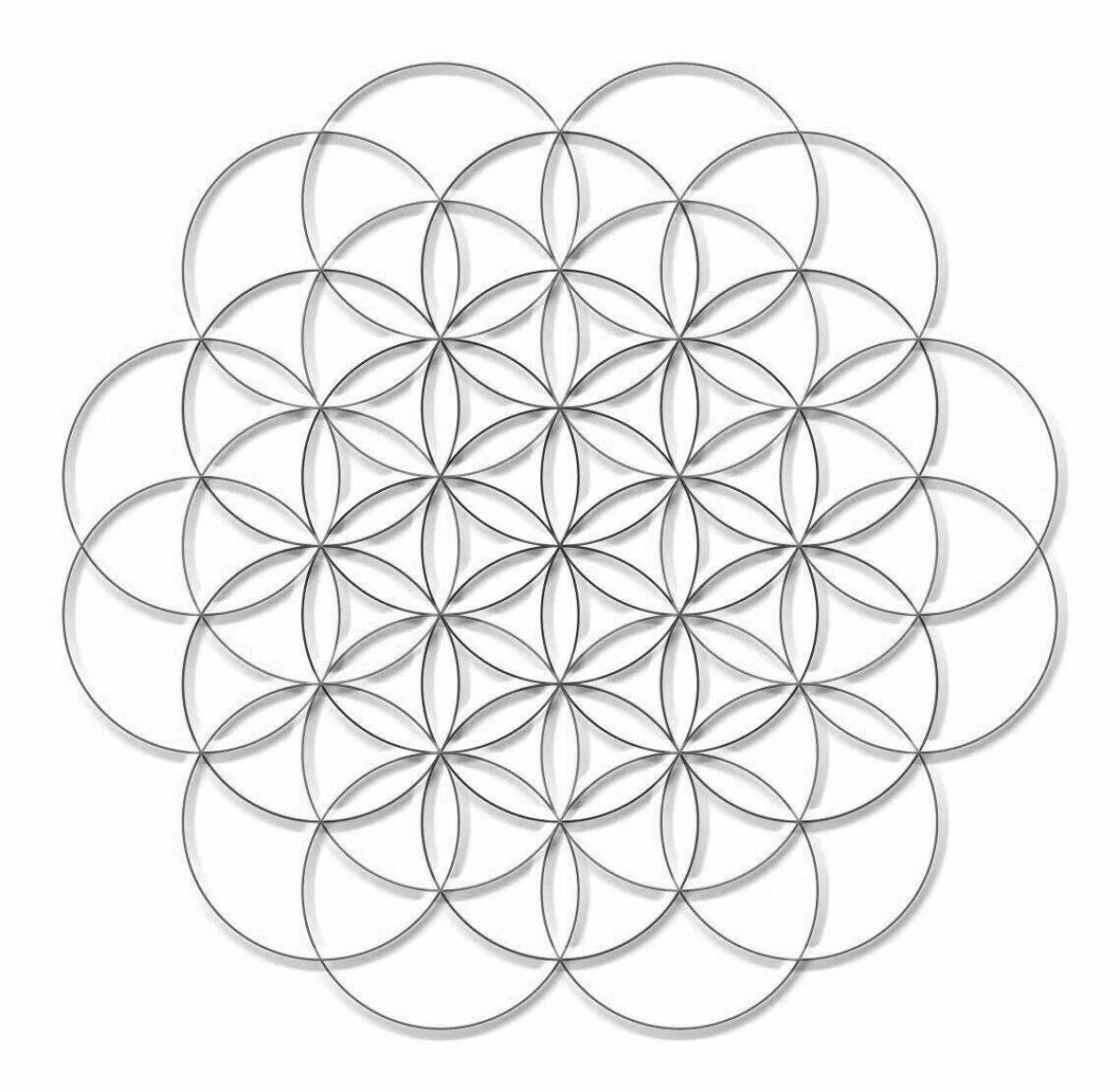 Luxury coloring flower of life