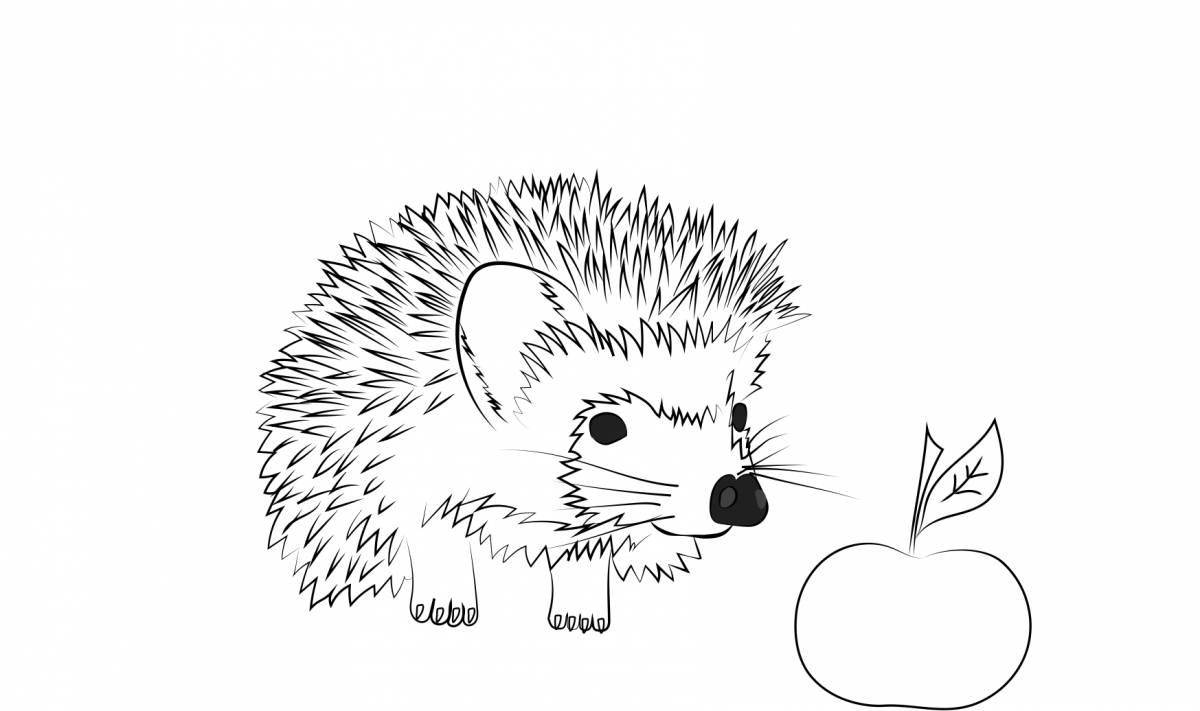 Colorful eared hedgehog coloring book