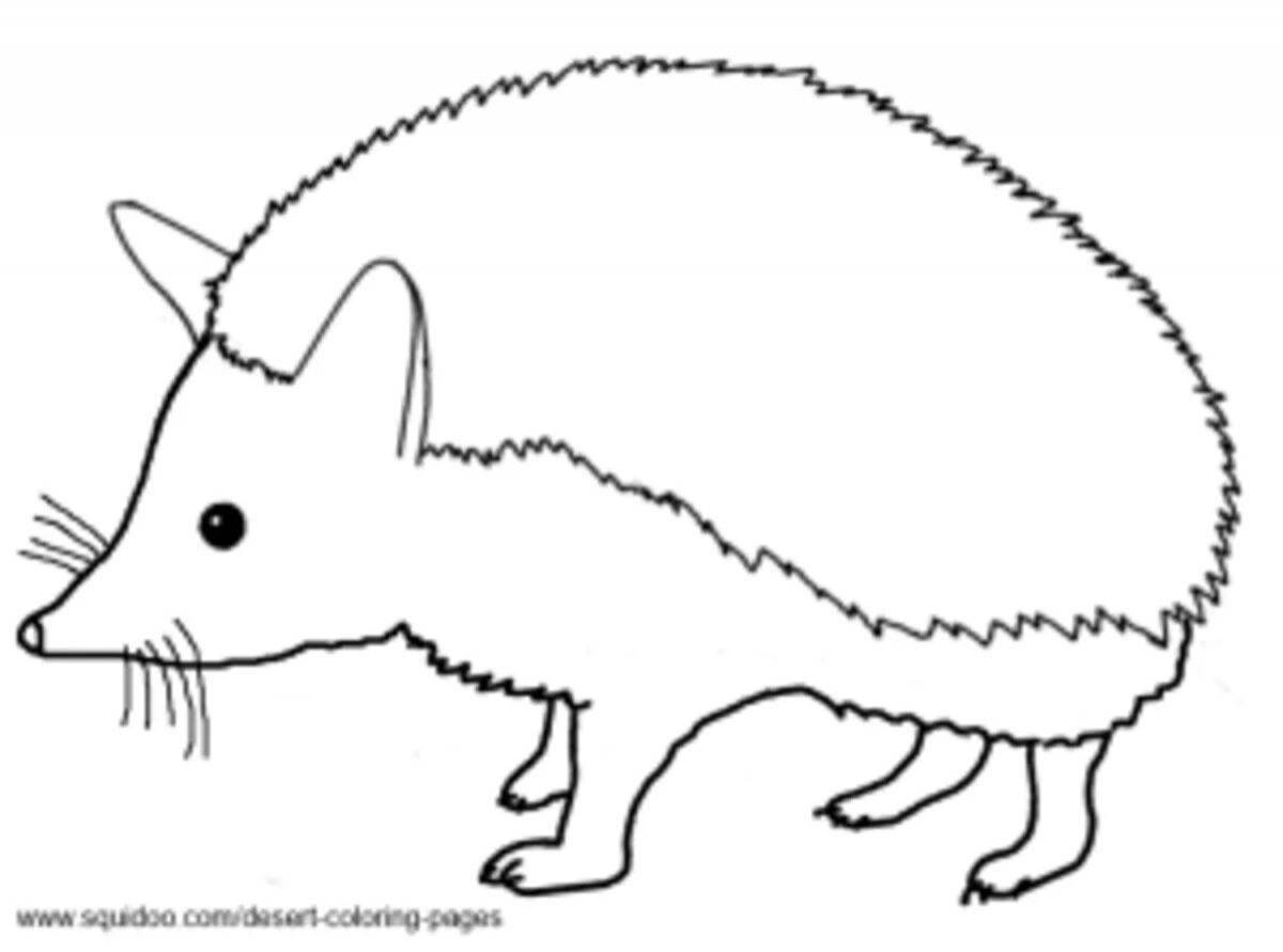 Charming eared hedgehog coloring book