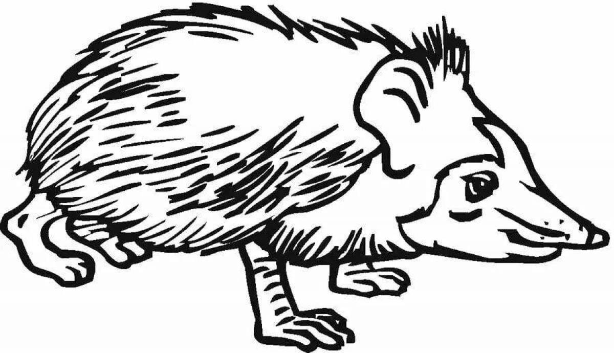 Coloring page adorable big-eared hedgehog