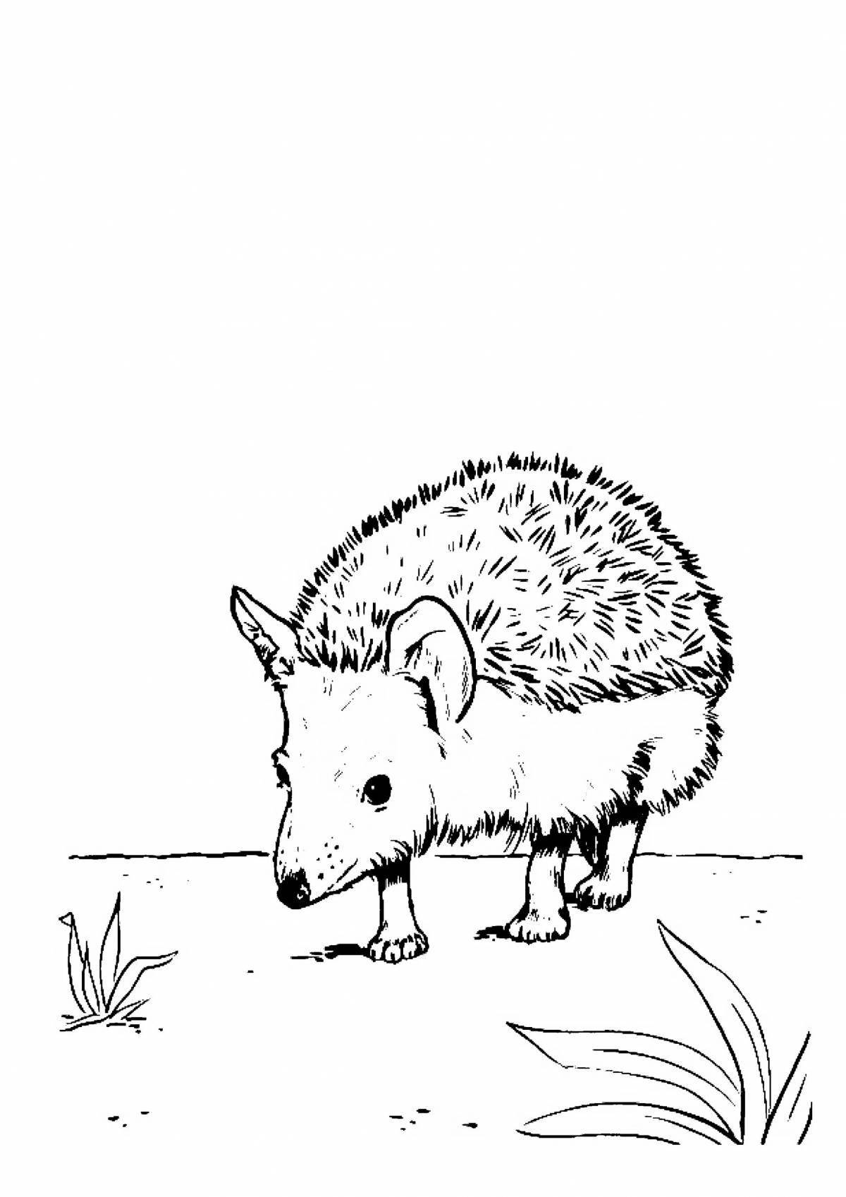 Smiling eared hedgehog coloring page