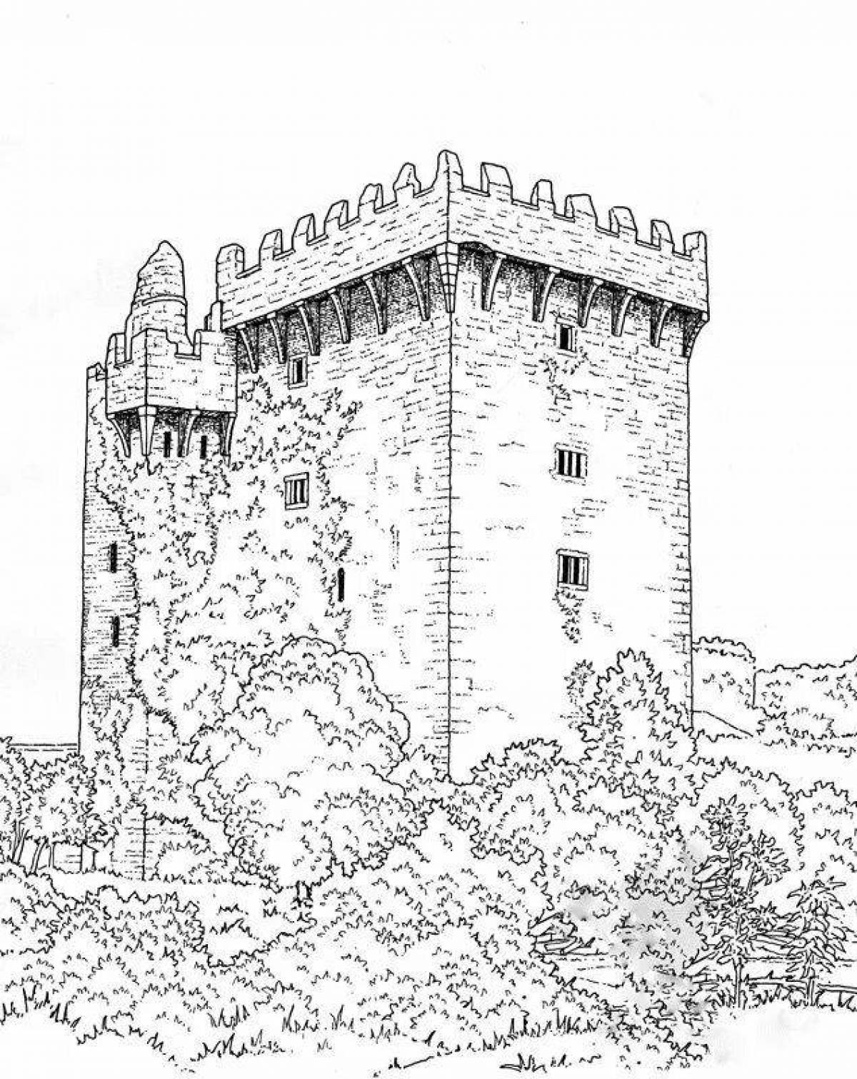 Coloring page medieval castle