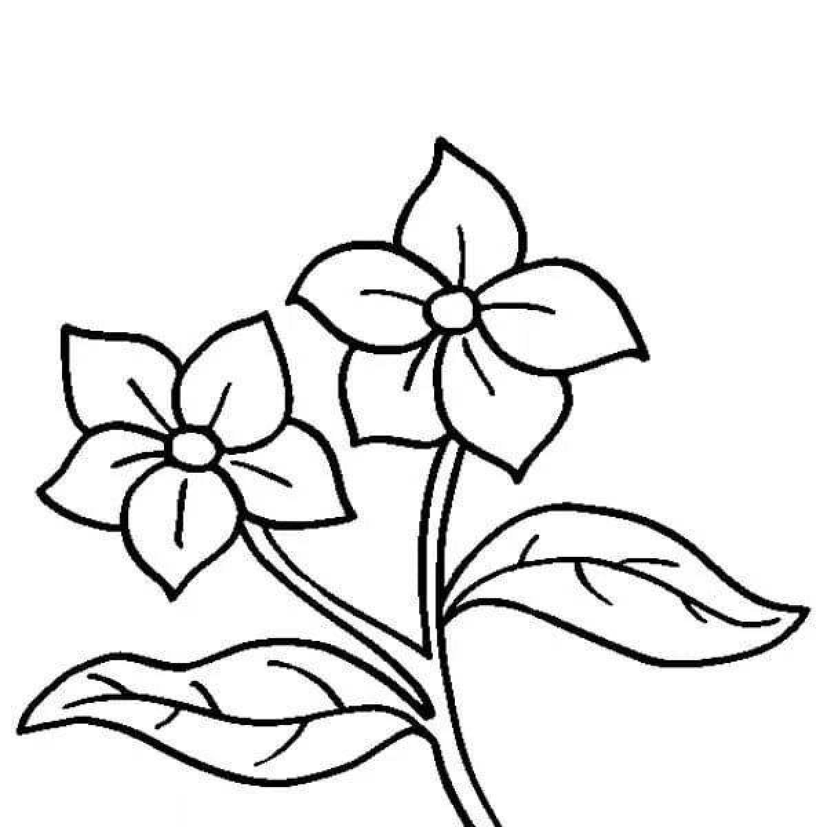 Цветы Барвинок раскраска