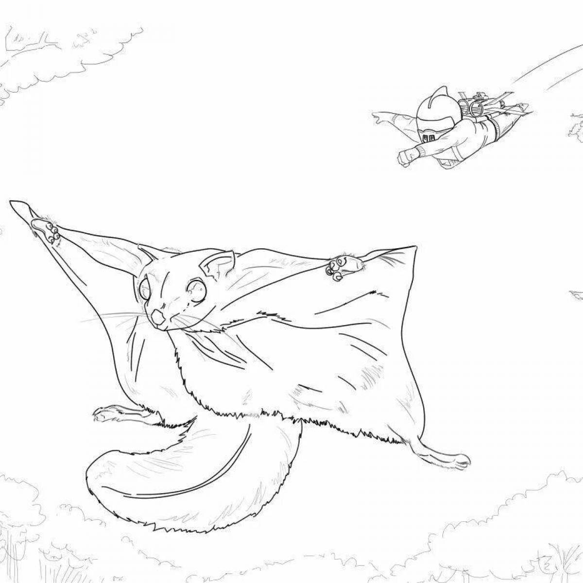 Coloring funny flying squirrel