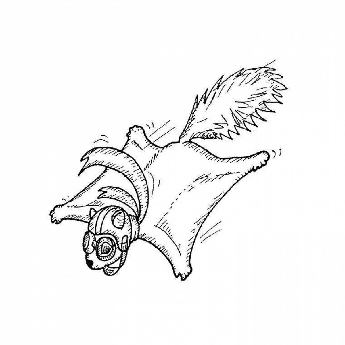 Flying squirrel bright coloring