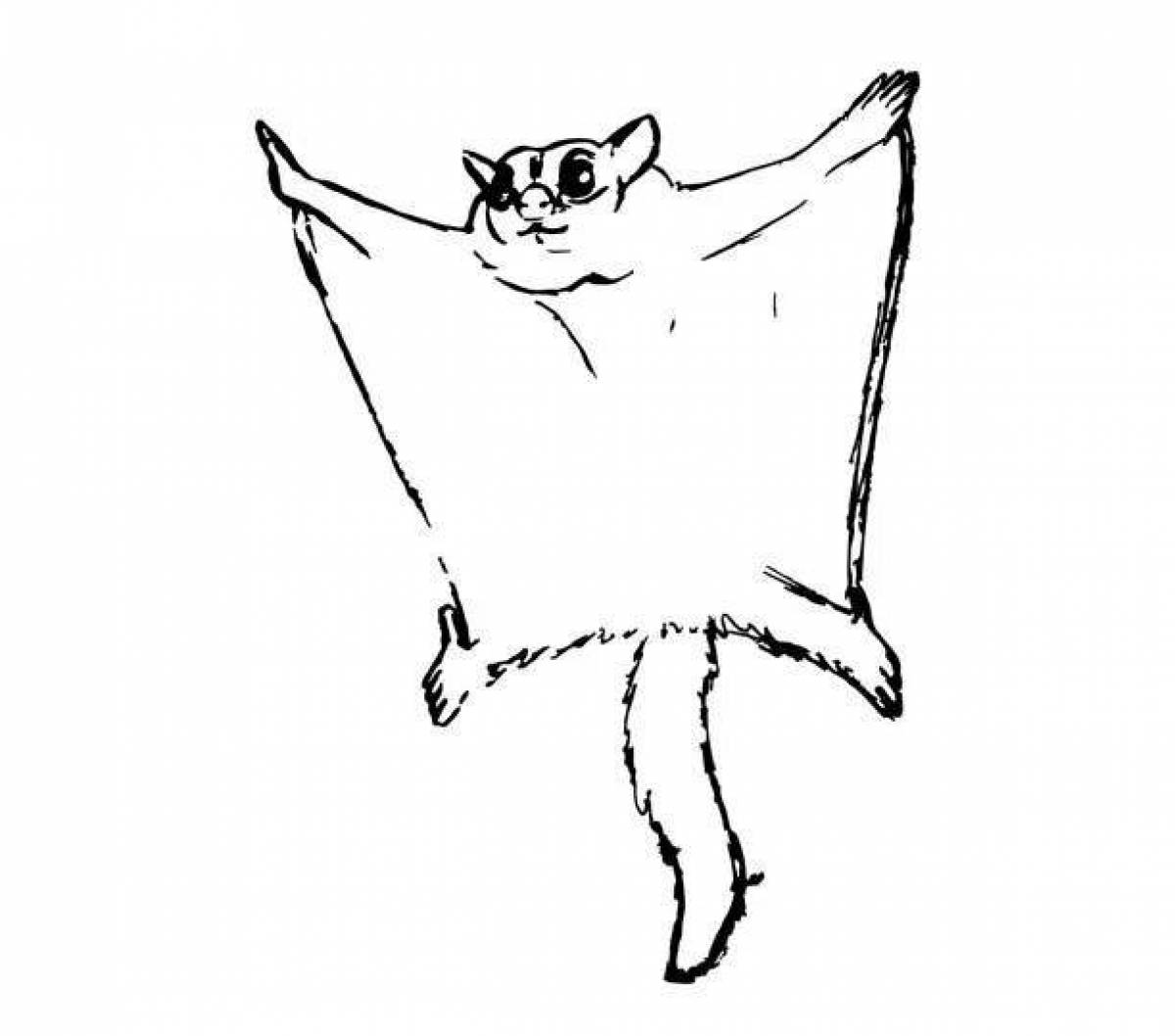 Cute flying squirrel coloring book