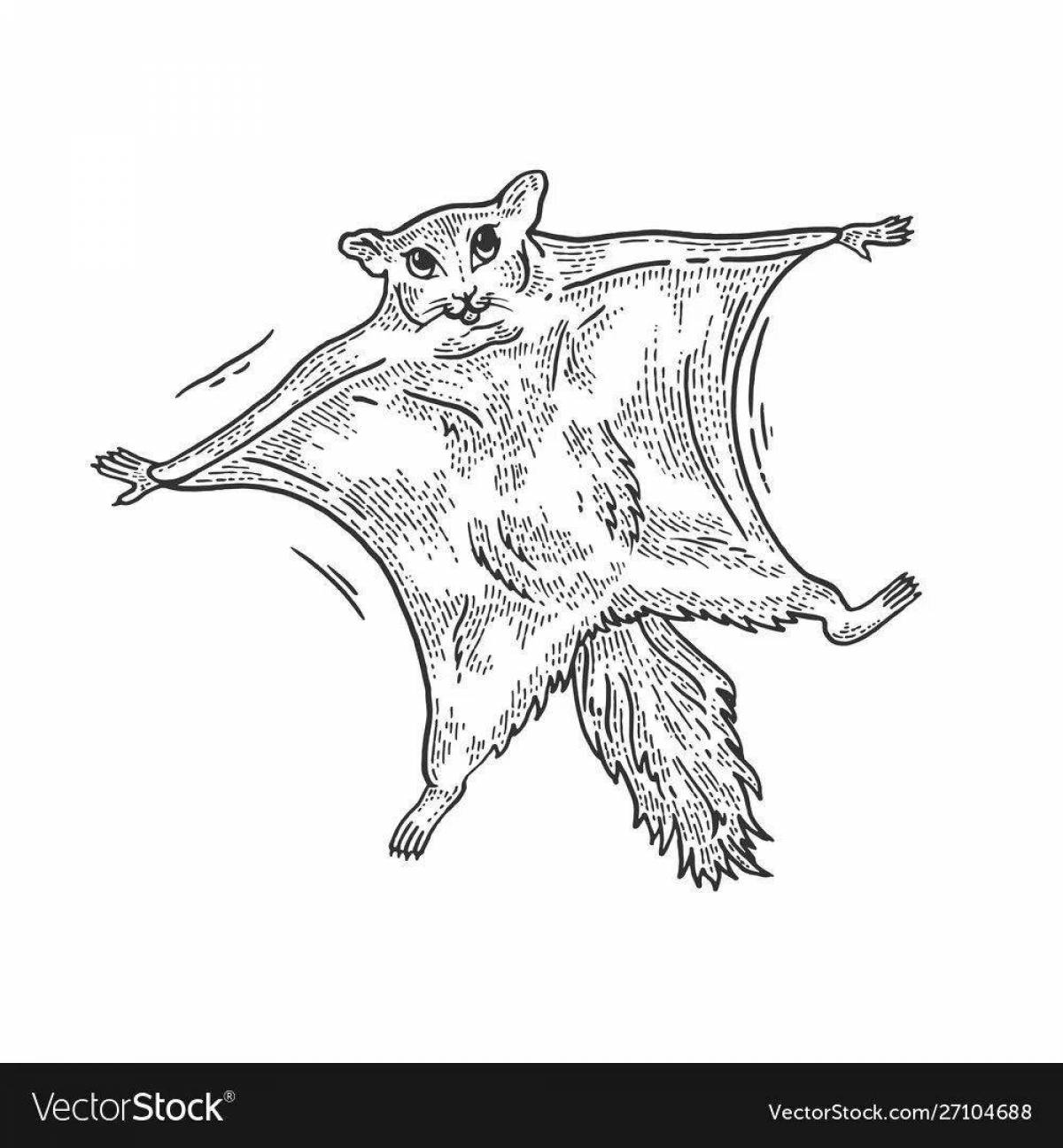 Coloring live flying squirrel